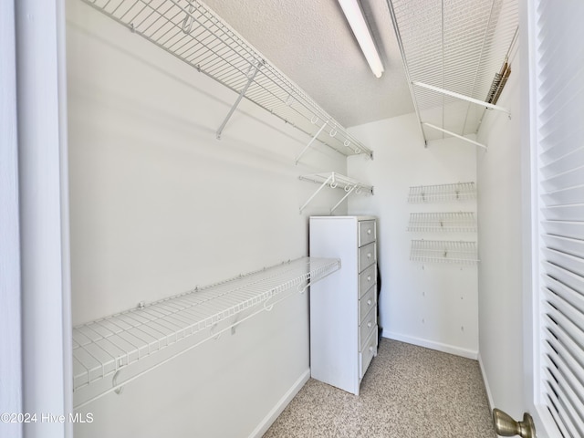 spacious closet featuring light colored carpet