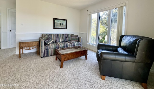 living room featuring carpet floors