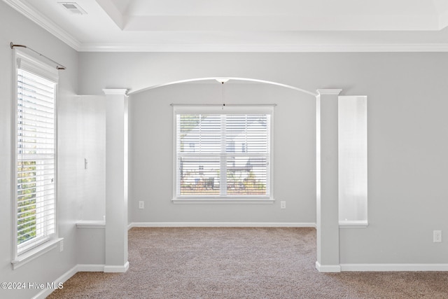 empty room featuring light carpet and ornamental molding