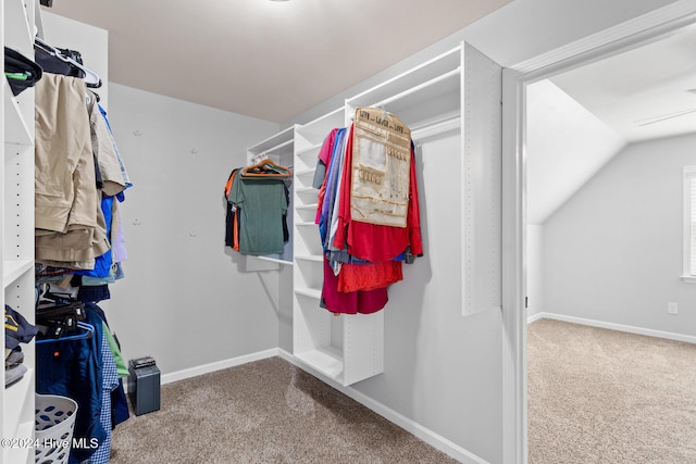 walk in closet featuring carpet and lofted ceiling