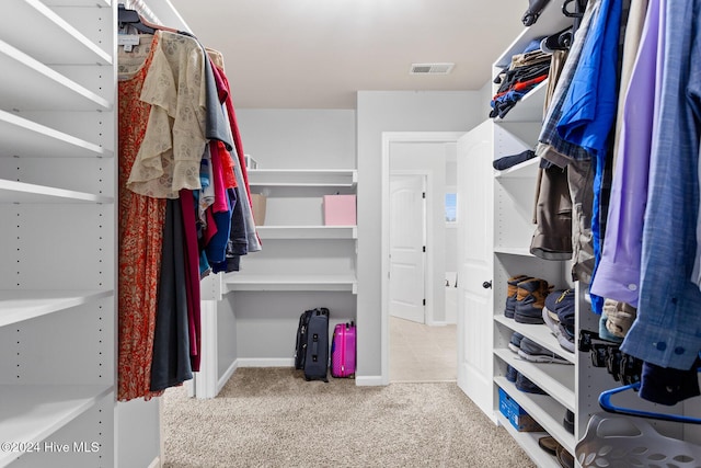 102 Hills Lorough Loop, Jacksonville, NC 28546 - spacious closet with carpet floors