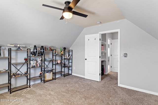 walk in closet with light colored carpet