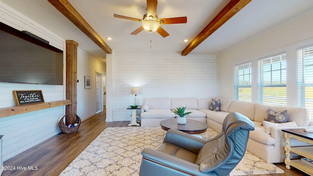 living room featuring dark hardwood / wood-style flooring, ceiling fan, and beam ceiling