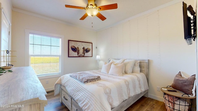 bedroom with crown molding, dark hardwood / wood-style floors, and ceiling fan