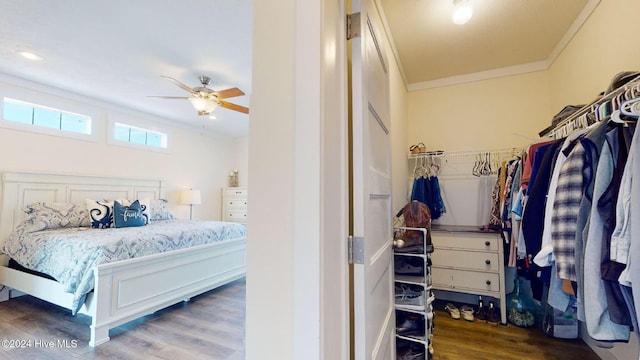 bedroom featuring dark wood-type flooring, ornamental molding, and ceiling fan