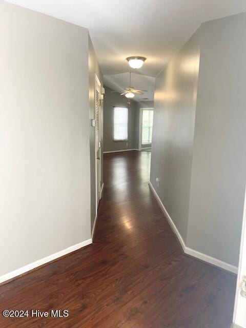 hall featuring dark hardwood / wood-style flooring