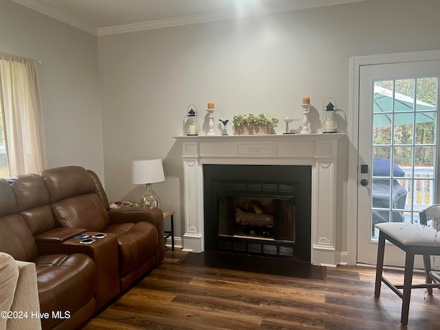 sitting room with dark hardwood / wood-style floors and crown molding