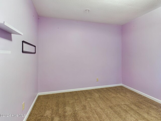 empty room featuring carpet flooring and a textured ceiling