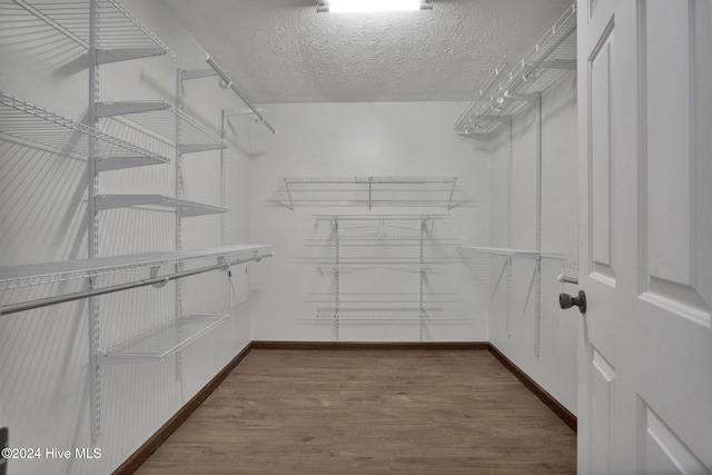 spacious closet with wood-type flooring