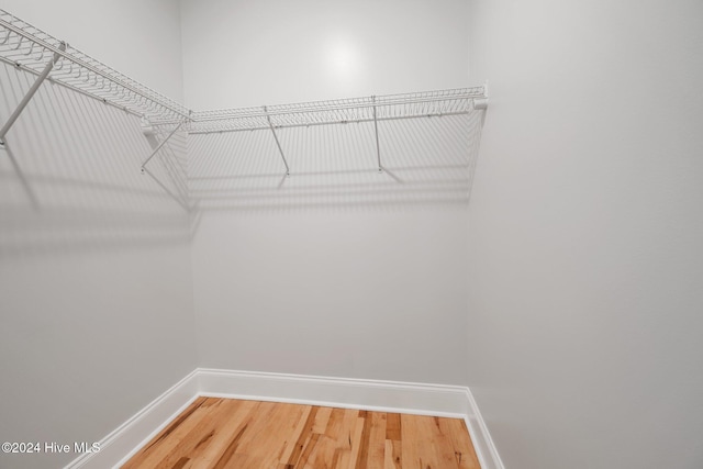 spacious closet featuring hardwood / wood-style floors