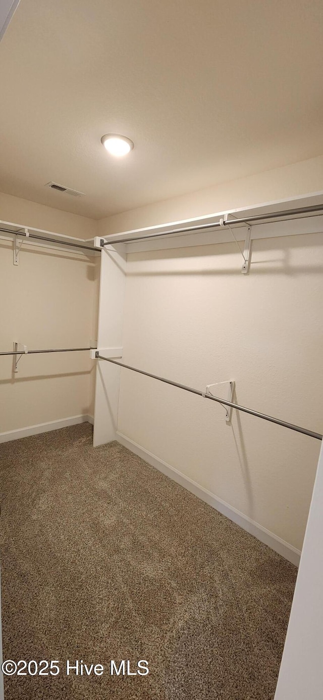 walk in closet with carpet flooring