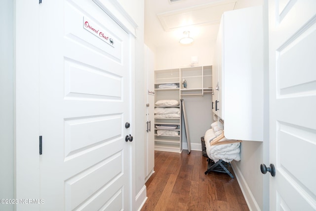 spacious closet with dark hardwood / wood-style floors