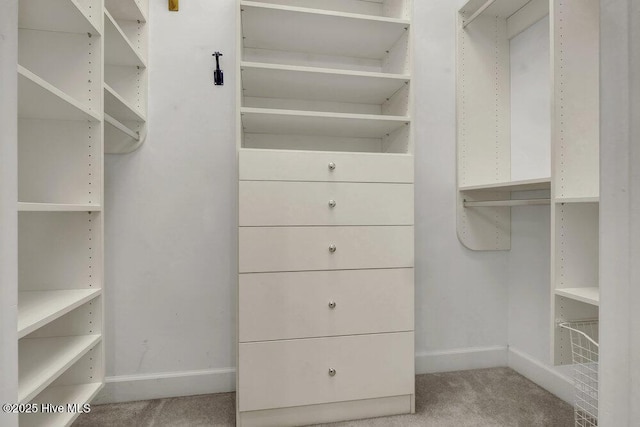 walk in closet with carpet floors