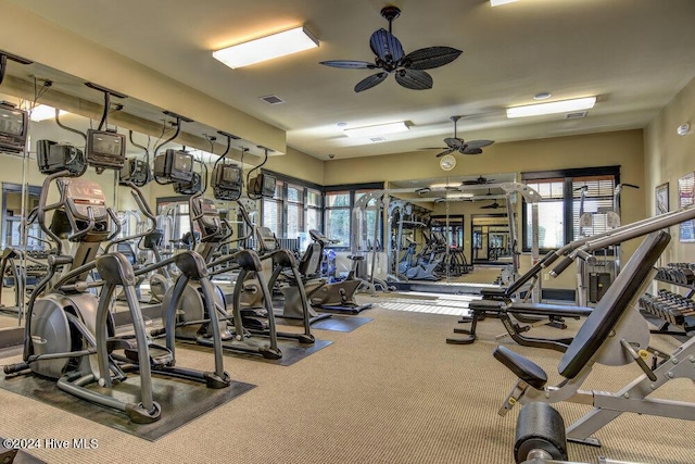 workout area with a ceiling fan, carpet, and visible vents