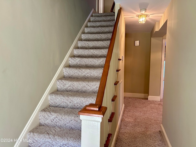 staircase featuring carpet floors