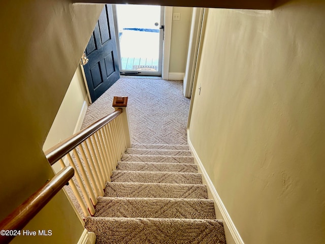 stairs featuring carpet floors