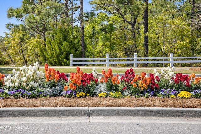 4104 Passerine Ave, Wilmington, NC 28412 - view of yard featuring fence