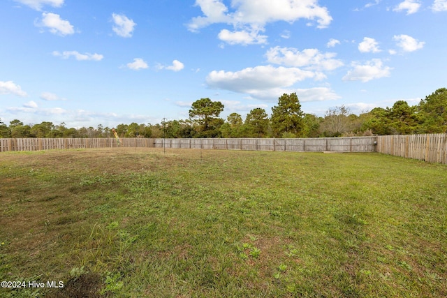 view of yard