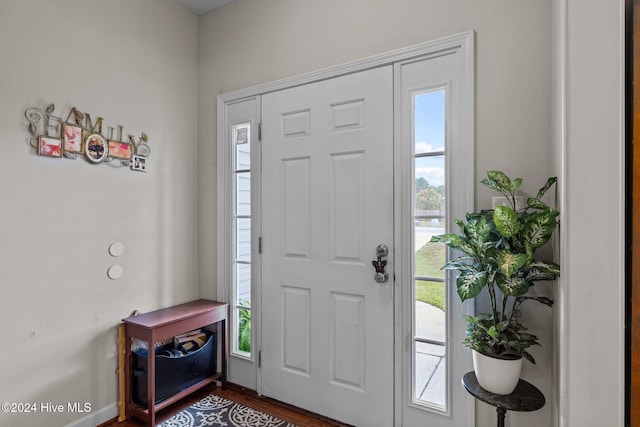 foyer entrance with a healthy amount of sunlight and dark wood-type flooring