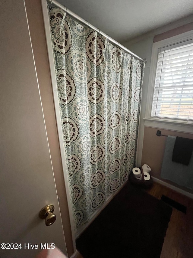 bathroom featuring hardwood / wood-style floors