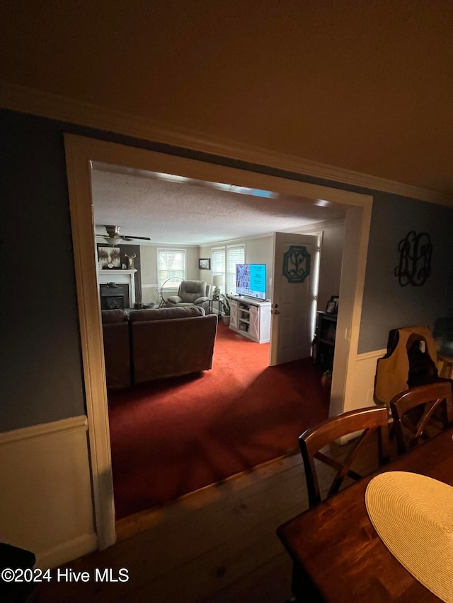 carpeted living room with ceiling fan and a textured ceiling