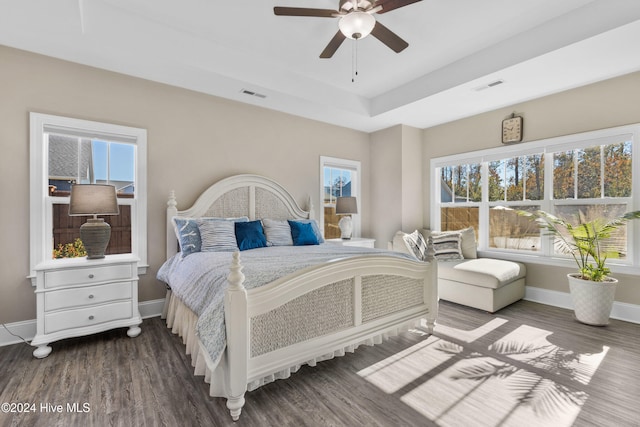 bedroom with ceiling fan, dark hardwood / wood-style flooring, a raised ceiling, and multiple windows