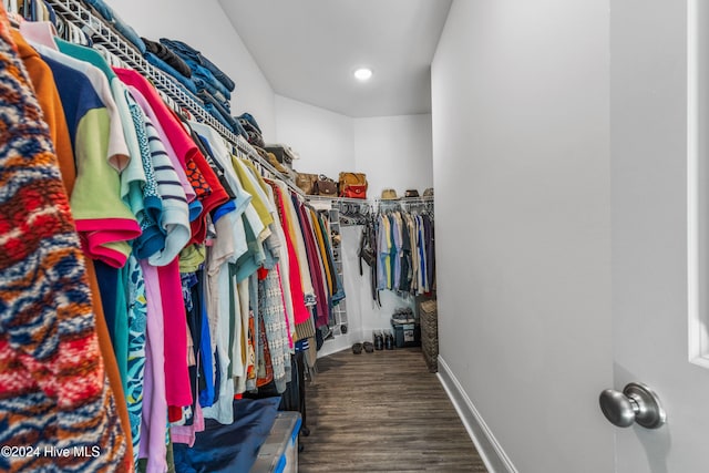 spacious closet with dark hardwood / wood-style floors