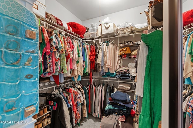 spacious closet with carpet