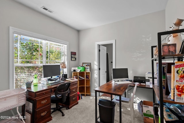 office featuring light carpet