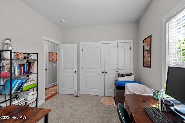 office area featuring light colored carpet