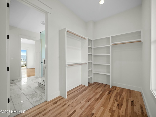 spacious closet with light wood-type flooring