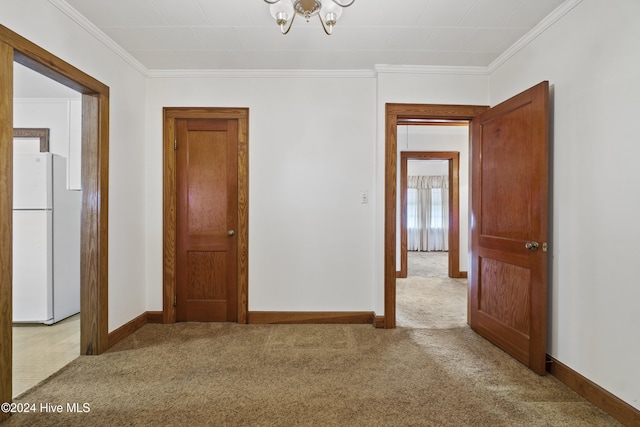 spare room with carpet and crown molding