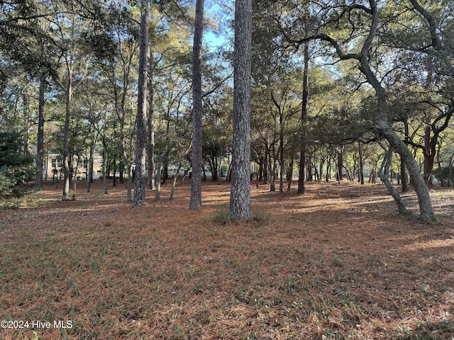 537 Longfellow Pl SW Unit 81, Ocean Isle Beach, NC 28469