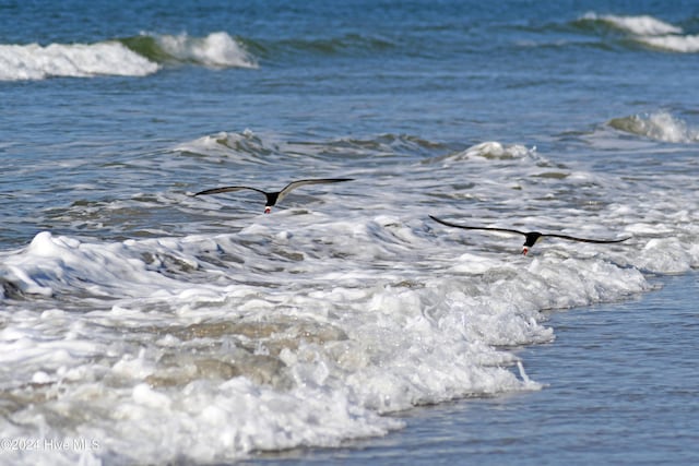 537 Longfellow Pl SW Unit 81, Ocean Isle Beach, NC 28469