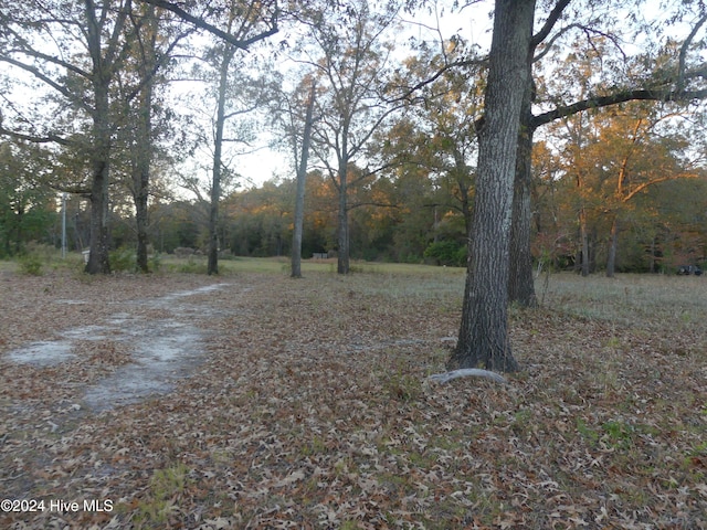 16772 NC Highway 210, Ivanhoe, NC 28447
