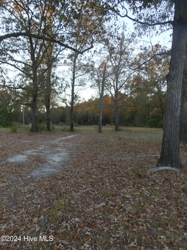 16772 NC Highway 210, Ivanhoe, NC 28447