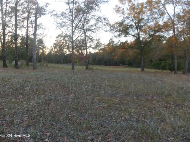 16772 NC Highway 210, Ivanhoe, NC 28447