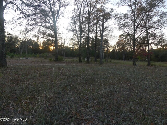 16772 NC Highway 210, Ivanhoe, NC 28447
