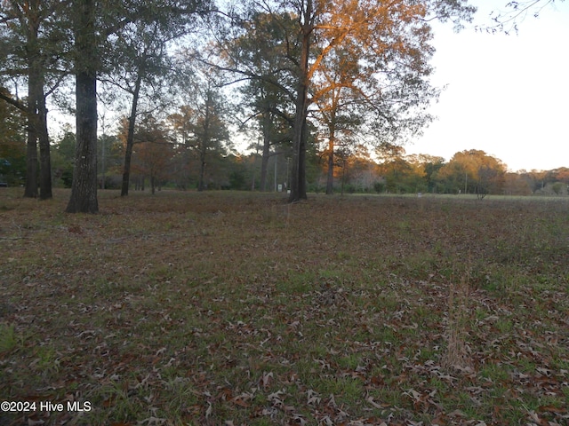 16772 NC Highway 210, Ivanhoe, NC 28447