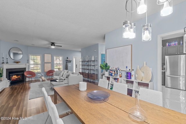 dining space featuring ceiling fan, a textured ceiling, and dark hardwood / wood-style flooring