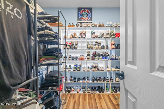 spacious closet with hardwood / wood-style flooring