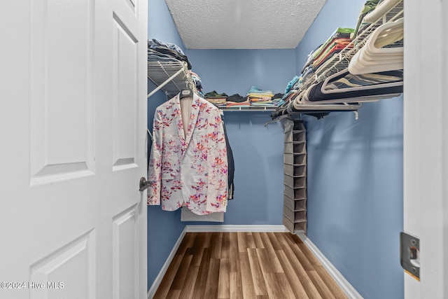 spacious closet featuring hardwood / wood-style flooring