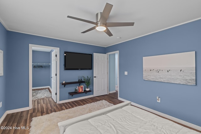 bedroom with a closet, a walk in closet, hardwood / wood-style flooring, and ceiling fan