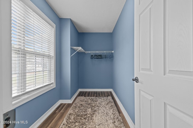 spacious closet with dark hardwood / wood-style flooring