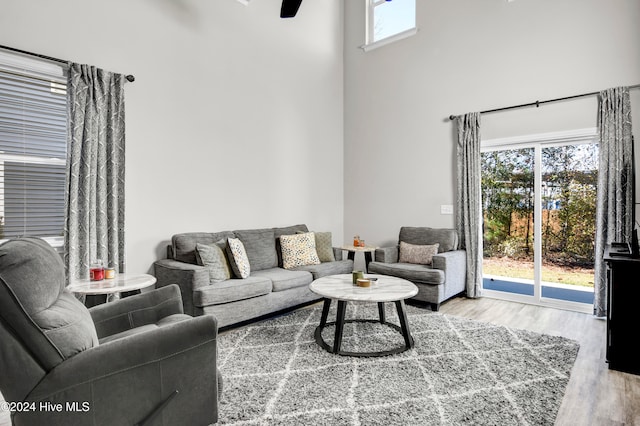 living room with a high ceiling, ceiling fan, and light wood-type flooring