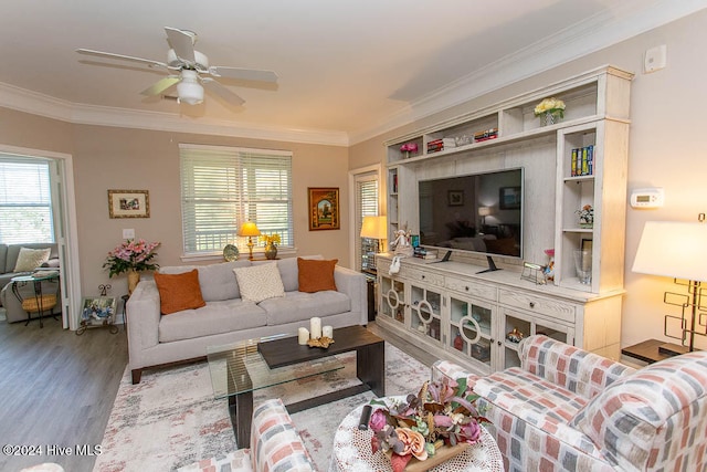 living room with ceiling fan, wood-type flooring, and ornamental molding