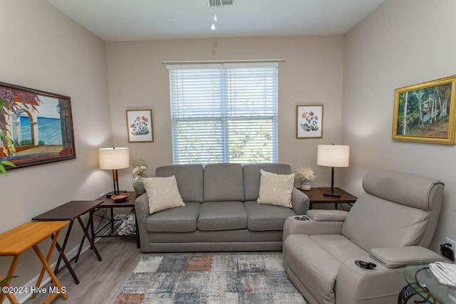 living room featuring hardwood / wood-style floors