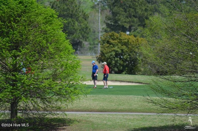 view of home's community with a yard