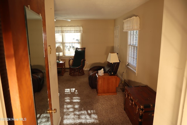 interior space featuring carpet flooring and ceiling fan