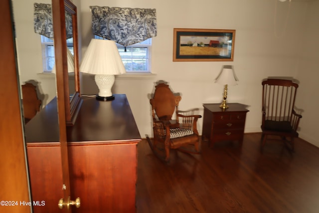 living area featuring wood-type flooring